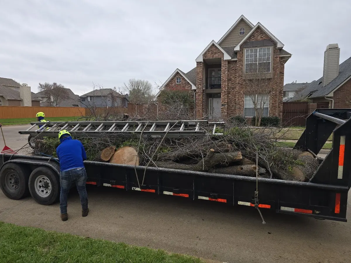 Expert Tree Fertilization with proper safety equipment in Fairchild